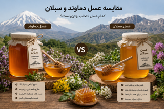 مقایسه عسل دماوند و سبلان؛ کدام عسل انتخاب بهتری است؟