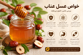 خواص عسل عناب؛ بررسی علمی بر اساس پژوهشهای معتبر